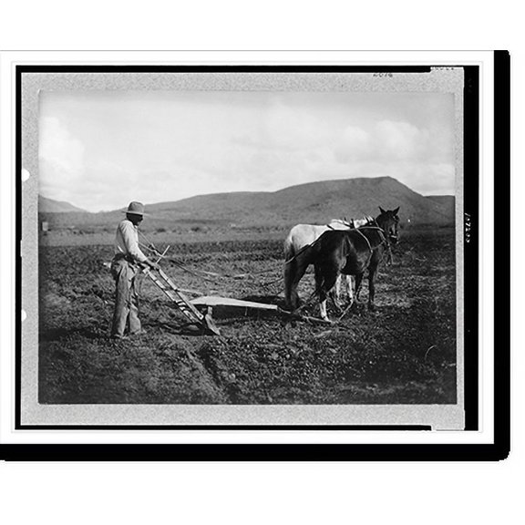 Historic Print, [Sacaton Indian Reservation. Indian plowing his land. Salt River Project], 16" x 20"