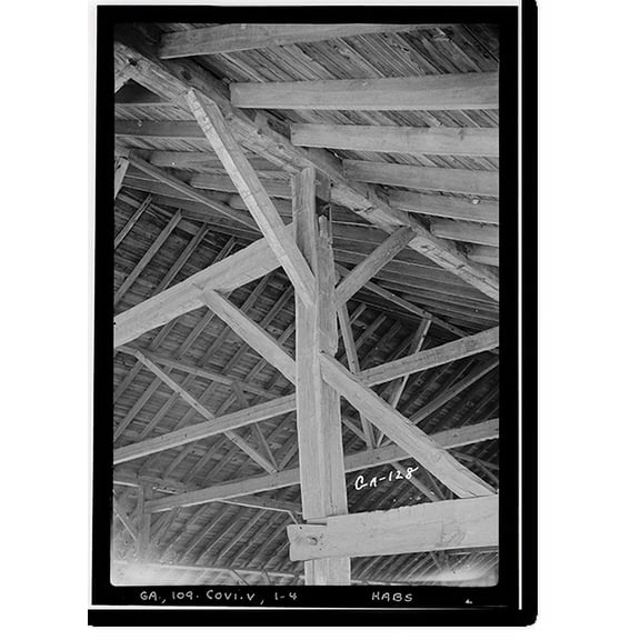 Historic Print, Salem Camp Ground, Covington vicinity, Newton County, GA - 4, 18" x 24"