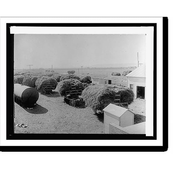 Historic Print, Salt River Project, [Arizona], 16" x 20"