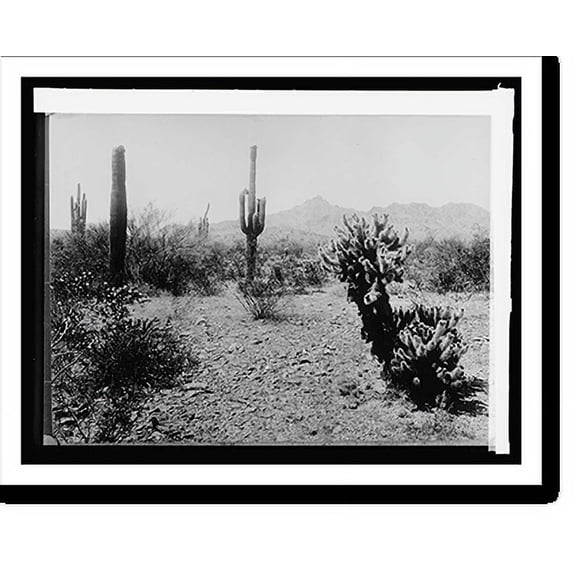 Historic Print, Salt River Project, Phoenix, Ariz., 16" x 20"