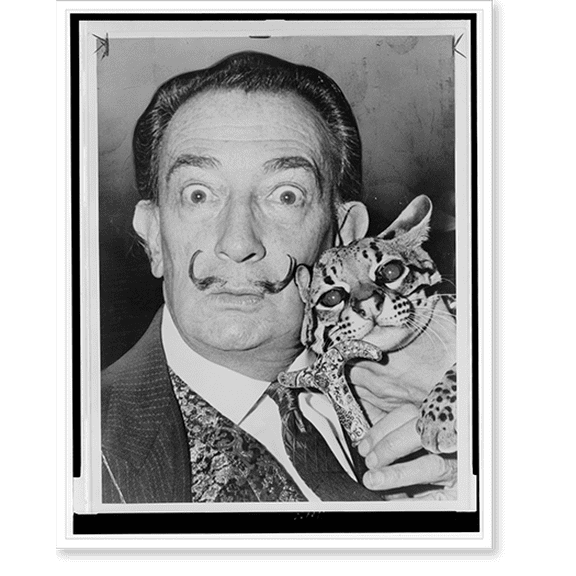 Historic Print, Salvatore Dali with ocelot friend at St Regis.World Telegram & Sun photo by Roger Higgins., 18" x 24"