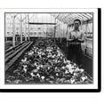 thumbnail image 1 of Historic Print, San Leandro, Cal., Apr. 1942, 16" x 20", 1 of 3