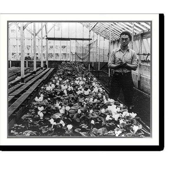 Historic Print, San Leandro, Cal., Apr. 1942, 16" x 20"