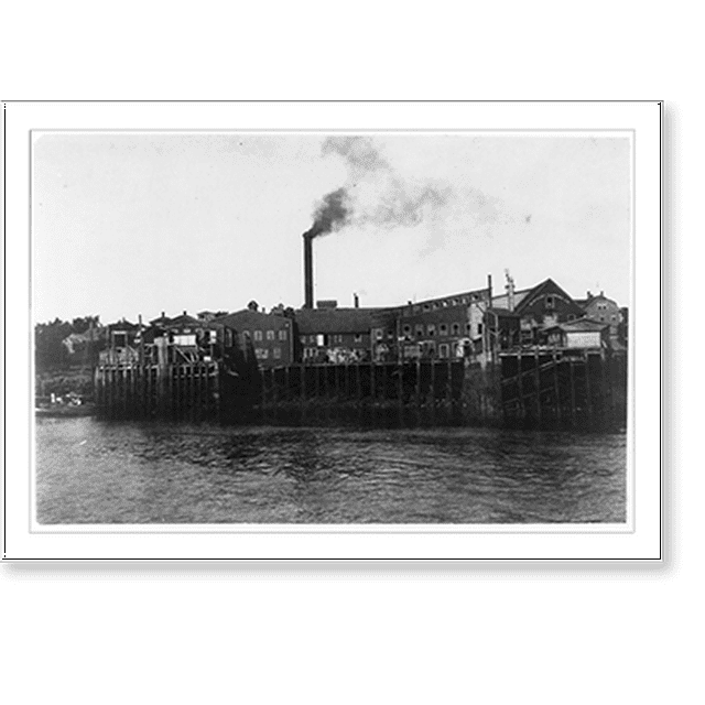 Historic Print, Sardine canneries at Eastport, Maine. Location