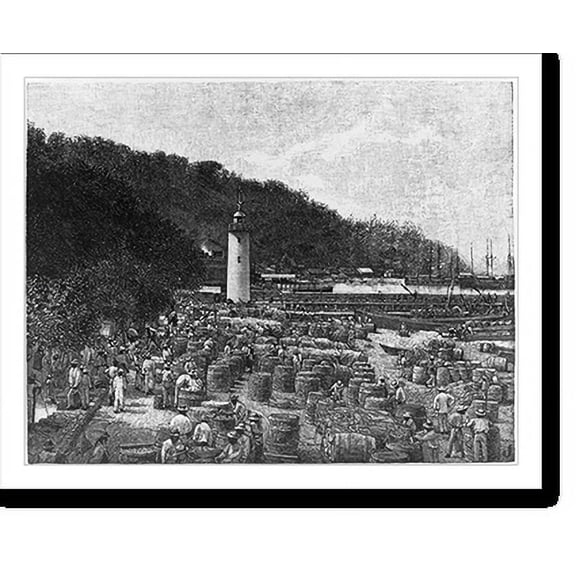 Historic Print, [Scenes of St. Pierre, Martinique, before the 1902 eruption of Mount Pelee] - 3, 16" x 20"