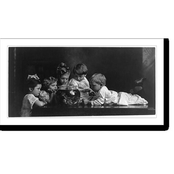Historic Print, See 'em swim, 16" x 20"