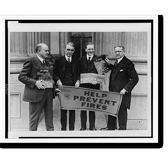 Historic Print, [Senators Frank R. Gooding, Arthur Capper, C.L. McNary, and George H. Moses (left to right) full-length portrait, holding forest protection posters put out by the U.S. F…16" x 20"