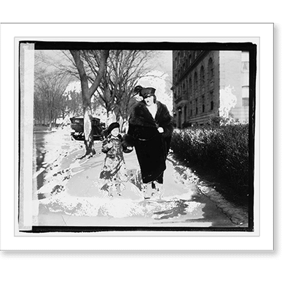 Historic Print, Senora Don R. Camilo Diaz - 2, 18" x 24"