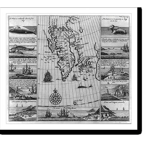 Historic Print, [Series of ten small engravings of whale, walrus, and bear hunting, with map of Greenland], 18" x 24"