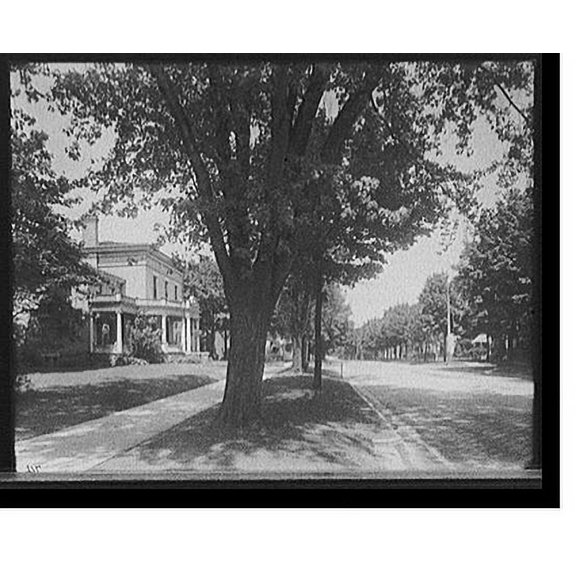 Historic Print, [Sheldon Avenue, Grand Rapids, Mich.], 16" x 20"