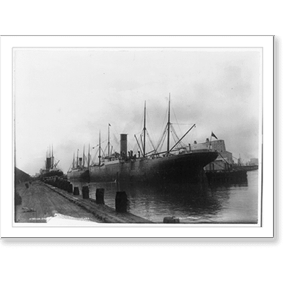 Historic Print, Ships docked in Galveston harbor, Texas, 16" x 20"