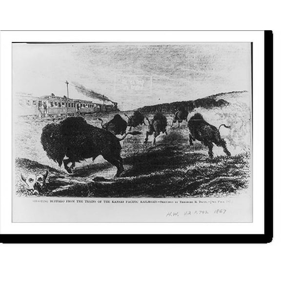 Historic Print, Shooting buffalo from the trains of the Kansas Pacific Railroad, 18" x 24"