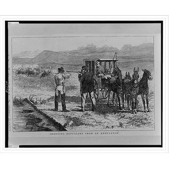 Historic Print, Shooting buffaloes from an ambulance, 18" x 24"