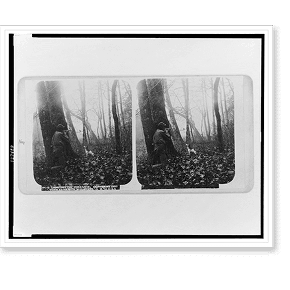 Historic Print, Shooting the pheasant - 2, 16" x 20"