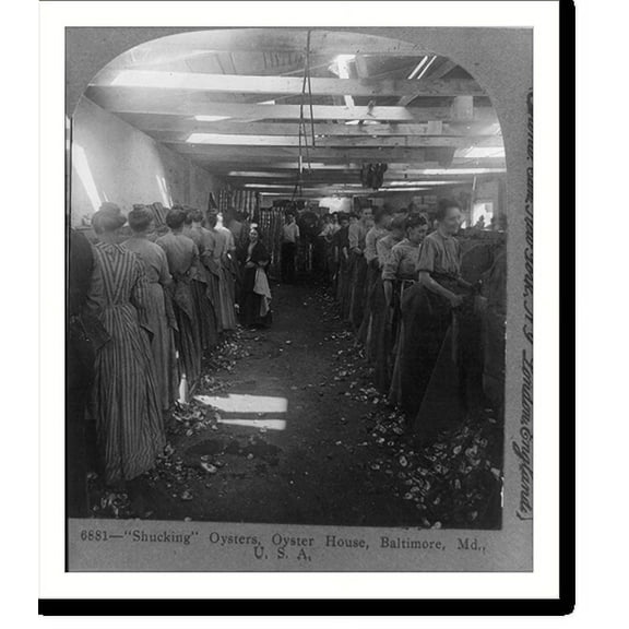 Historic Print, Shucking" oysters, oyster house, Baltimore, Md., U.S.A.", 16" x 20"