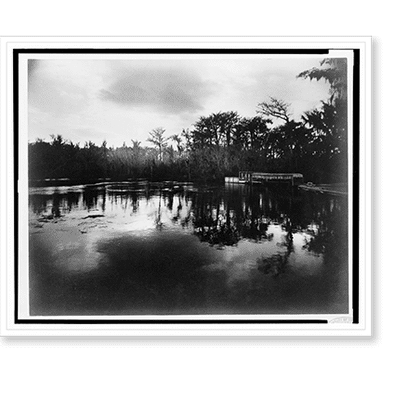 Historic Print, Silver Spring[s], Florida, moonlight, 16" x 20"