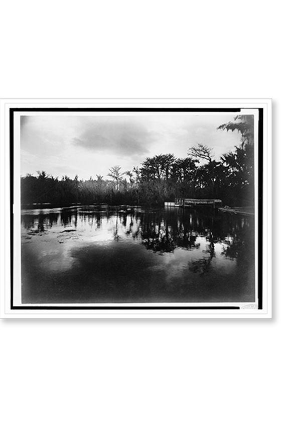 Historic Print, Silver Spring[s], Florida, moonlight, 16" x 20"