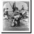 Historic Print, Skinning the sharks a phase of Florida's fish