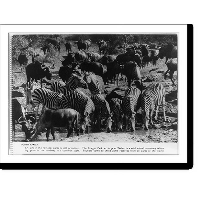 Historic Print, South Africa. Life in the remoter parts is still