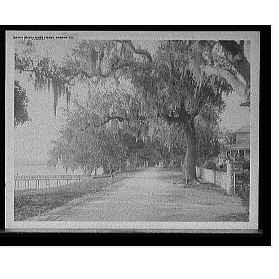 Historic Print, South River Avenue, Ormond, Fla., 18" x 24"