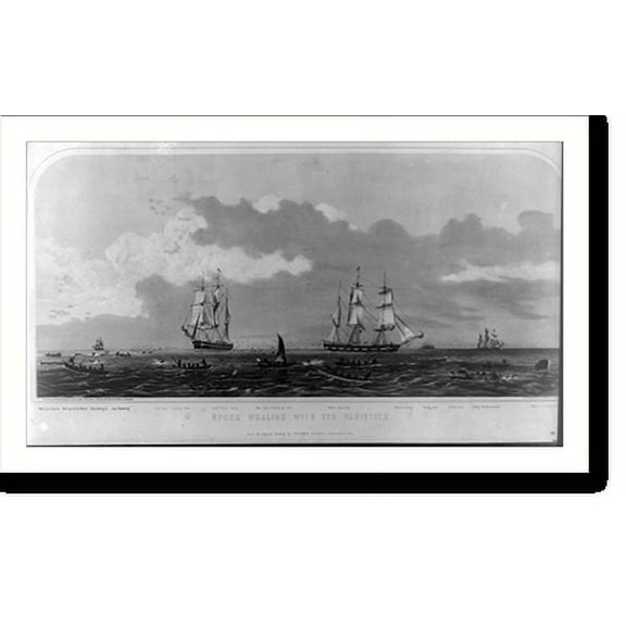 Historic Print, Sperm whaling with its varieties, 16" x 20"