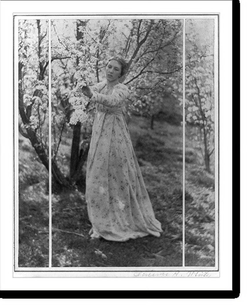 Historic Print, [Spring. A triptych (Letitia Felix), Newark, Ohio], 16