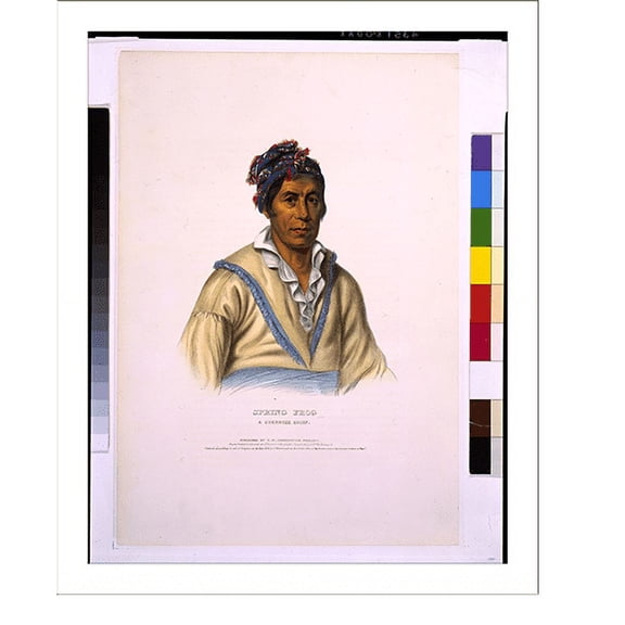 Historic Print, Spring Frog, a Cherokee chief.drawn, printed & coloured at I.T. Bowens Lithographic Establishment. - 2, 16" x 20"