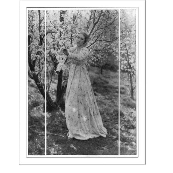 Historic Print, Spring (a tryptych), 16" x 20"
