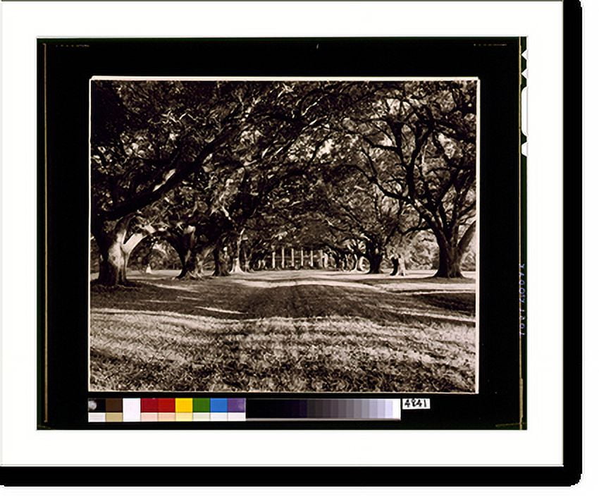 Historic Print, [St. James Parish. Oak Alley, Vacherie], 16" x 20