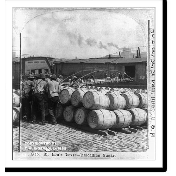 Historic Print, St. Louis Levee - unloading sugar, 16" x 20"