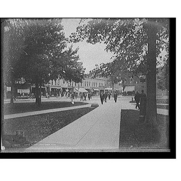 Historic Print, State Street, Ann Arbor, Mich. - 2, 16" x 20"