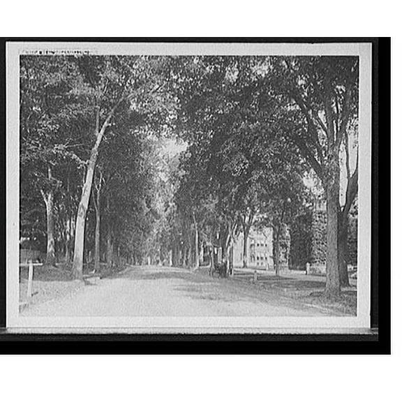Historic Print, State Street, Portland, Me., 18" x 24"