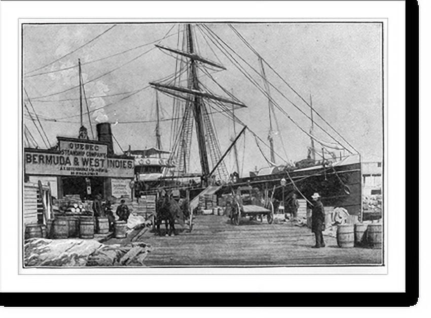 Historic Print, [Steamship ORINOCO alongside Pier 47 in New York City