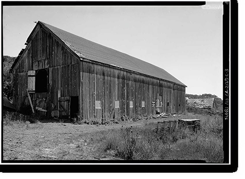Historic Print, Steele Brothers Dairies, Cloverdale Ranch Barn