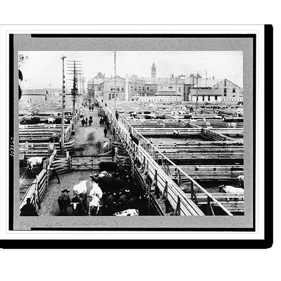 Historic Print, [Stockyards, Chicago(?)], 18" x 24"