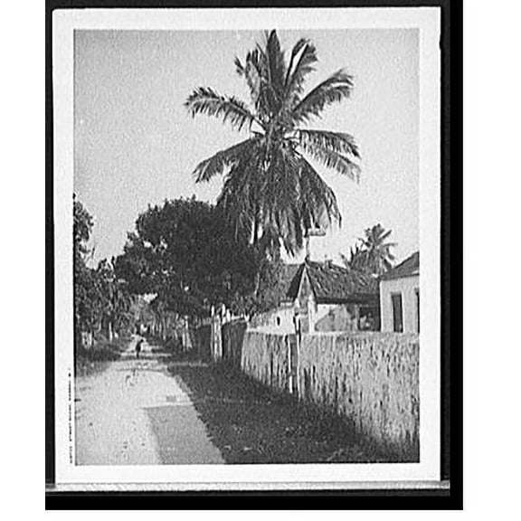 Historic Print, Street scene, Nassau, W.I., 18" x 24"