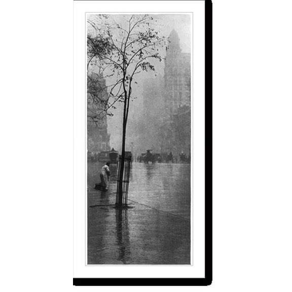 Historic Print, [Street view in New York City - young tree and street sweeper in foreground, horses, carriages, and large buildings in background, on a rain day], 16" x 20"