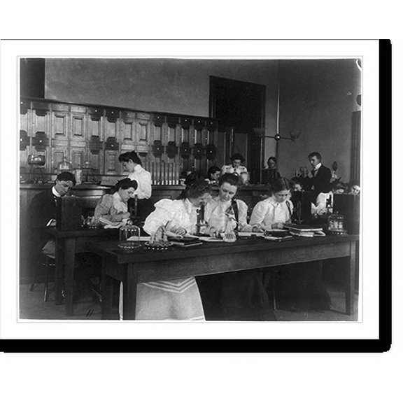 Historic Print, [Students in a science class using microscopes, Western High School, Washington, D.C.], 16" x 20"