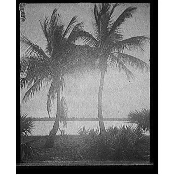 Historic Print, [Sunset on Lake Worth, Palm Beach, Fla.], 16" x 20"