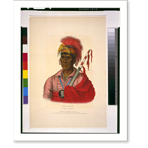 Historic Print, Tah-Ro-Hon. An Ioway warrior.drawn, printed & coloured at I.T. Bowen's Lithographic Establishment ; A.H. - 2, 18" x 24"