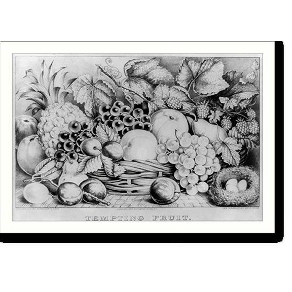 Historic Print, Tempting fruit, 16" x 20"