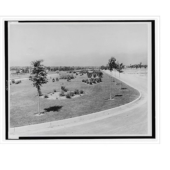 Historic Print, The 17th Avenue Parkway, Denver, Colorado, 16" x 20"