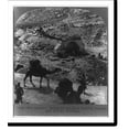 Historic Print, The Apostle's Spring on the road between Jerusalem and
