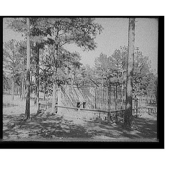 Historic Print, [The Bear pits, Forest Park, Little Rock, Ark.], 18" x 24"