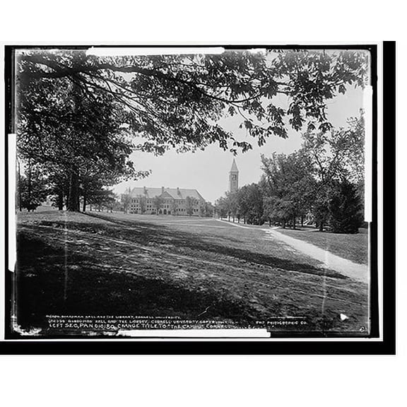 Historic Print, The Campus, Cornell University, 16" x 20"