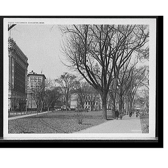 Historic Print, The Common, Worcester, Mass. - 2, 18" x 24"