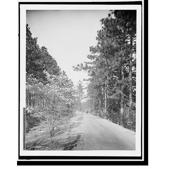 Historic Print, The Devil's backbone, Aiken, S.C., 16" x 20"