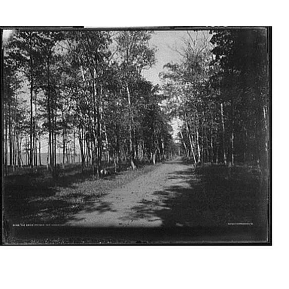 Historic Print, The Drive, Presque Isle, near Marquette, Mich., 18" x 24"