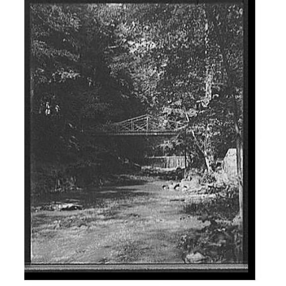 Historic Print, [The Falls, Bronx Park, New York, N.Y.], 16" x 20"