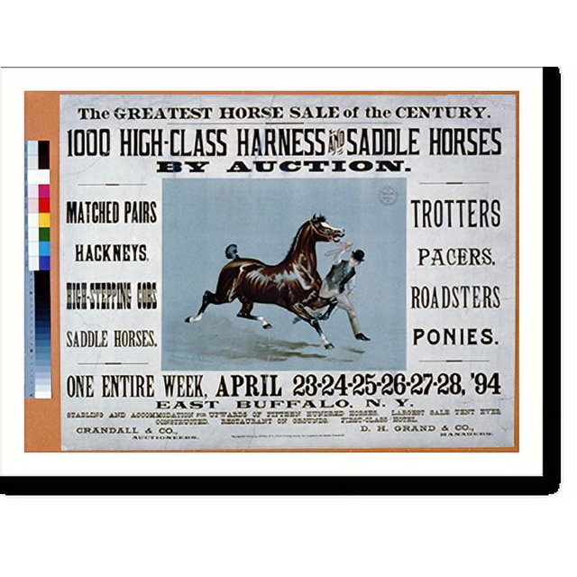 Historic Print, The Greatest Horse Sale of the Century 1000 High